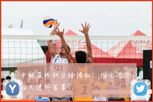 中超最终积分榜揭秘：谁主沉浮，谁又遗憾落幕？