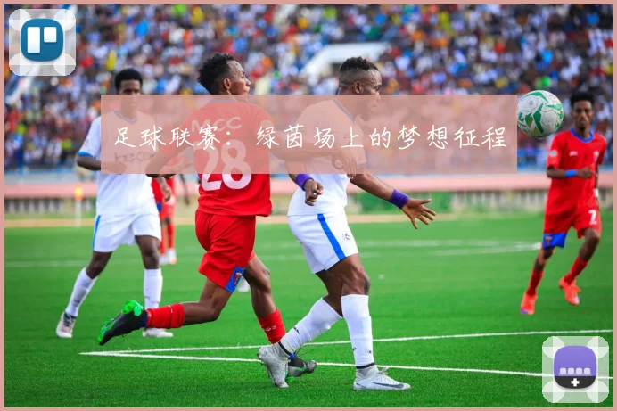 足球联赛:绿茵场上的梦想征程