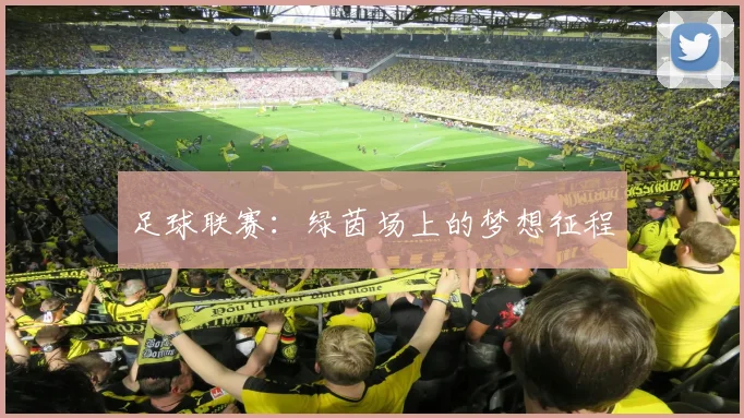 足球联赛：绿茵场上的梦想征程